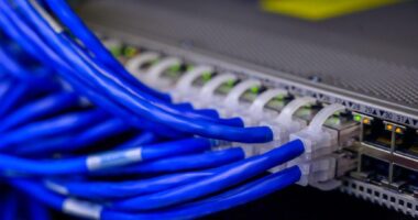 Are Hosting Providers Making the Most of M-Commerce Boom?