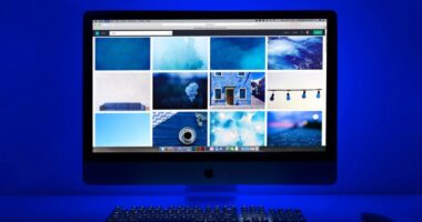Importance of Google HTTPS Algorithm for Web Hosting Providers